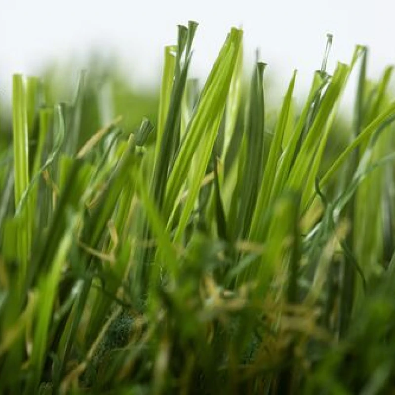 Yanda Verdite Monobacking photo1